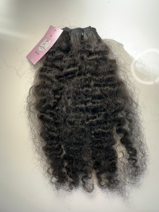 Burmese curl