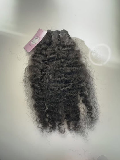 Burmese curl